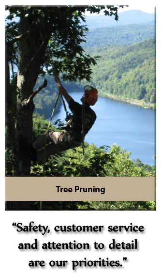 Northeast Rural Resource Management Tree Pruning