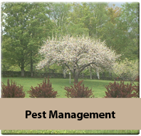 pest management